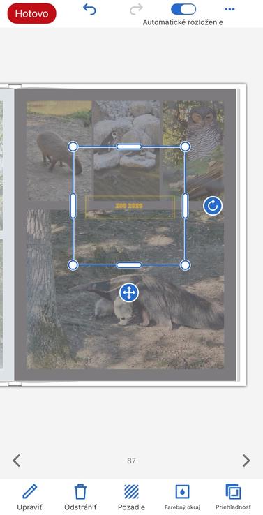 CEWE FOTOKNIHA