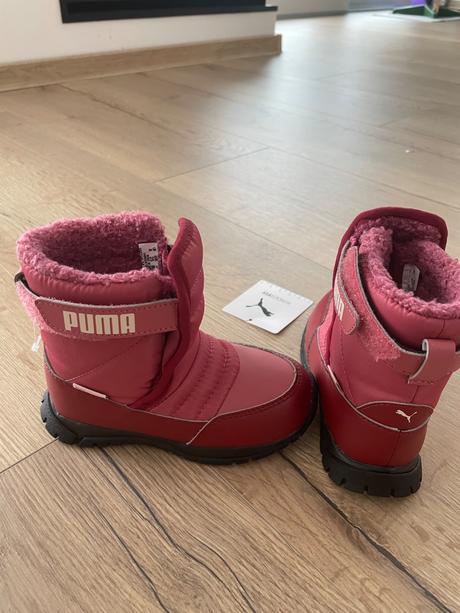 Snehule puma, puma,25