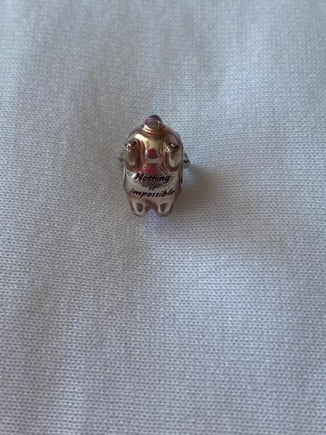 Pandora koralka prasiatko, 