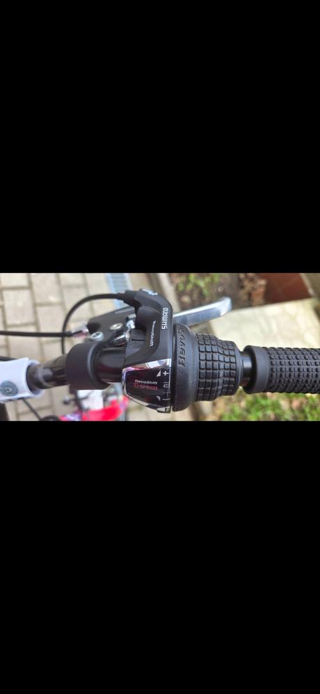 Predam horsky bicykel "20, ctm,20