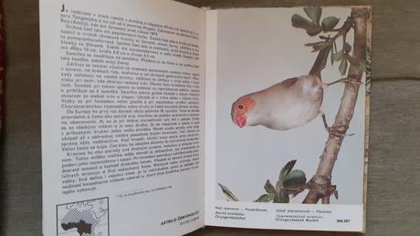 Vreckový atlas cudzokrajných vtákov,