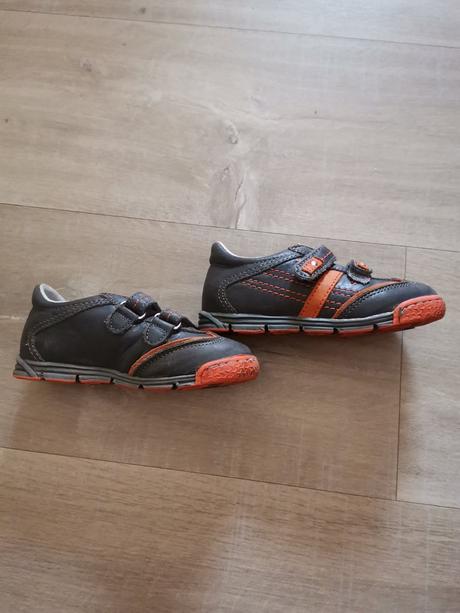 Poltopanky, kornecki,24