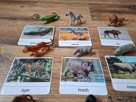 Kartičky zvierat + figurky, 