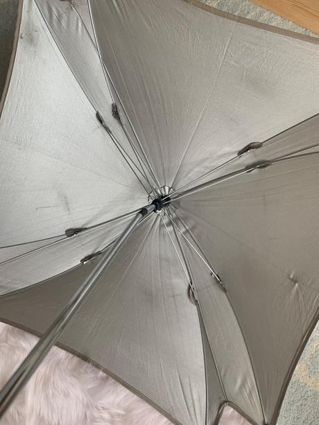 Slnečník univerzálny, 