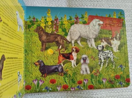 Zvieratá okolo nás,