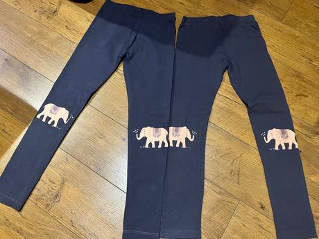 Legíny so slonom, 122