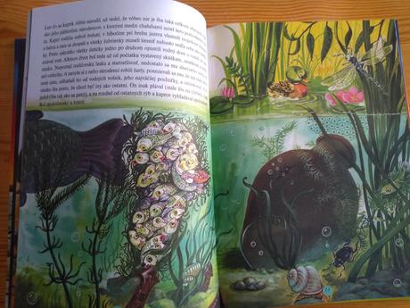 Rozprávky múdrej sovy - 5 eur,