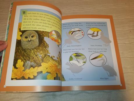 Maurice pledger's ozzy owl sticker book nau20, 