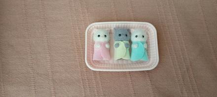 Sylvanians maciatka,