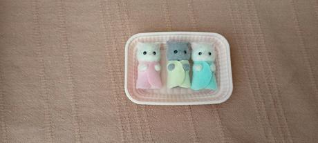 Sylvanians maciatka, 