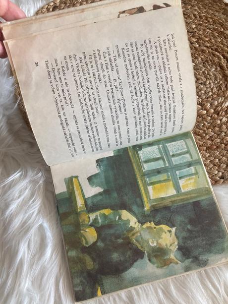 Čuk a huk arkadij gajdar (1976),