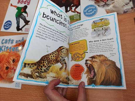 Questions and answers a5 na kusy, 