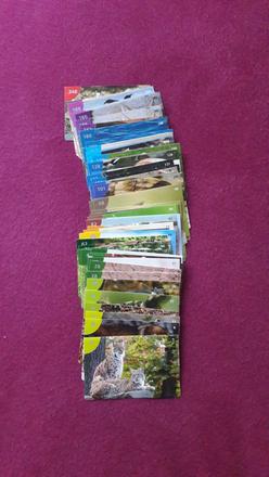 Animal kingdom-album,