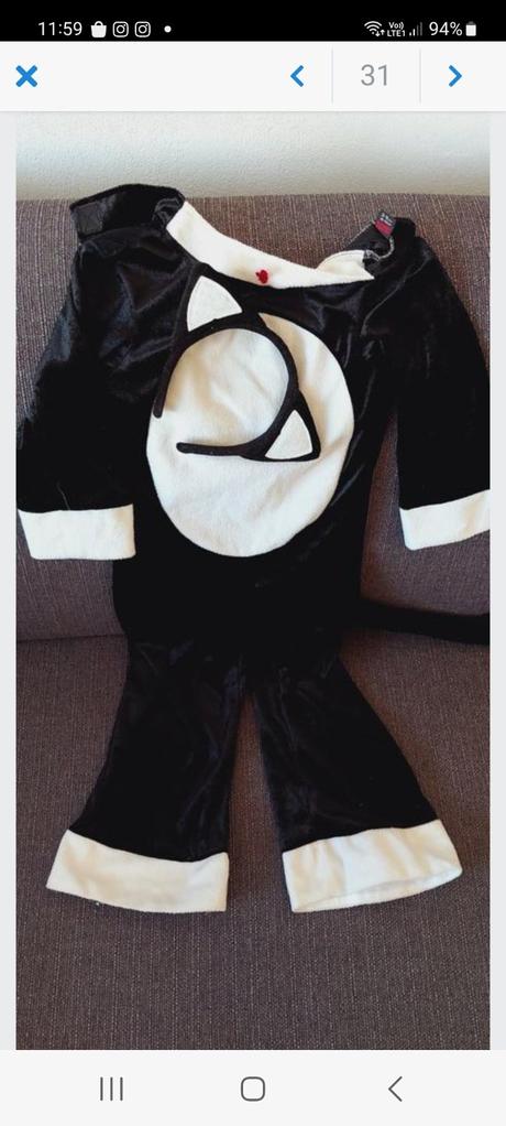 Kostým na karneval, 