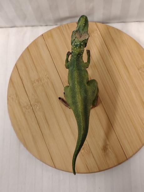 Zberateľ figúrka dinosaura zelený t-rex, schleich,