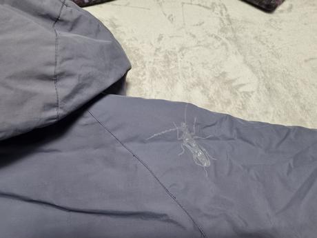 Zimná bunda, alpine pro,s