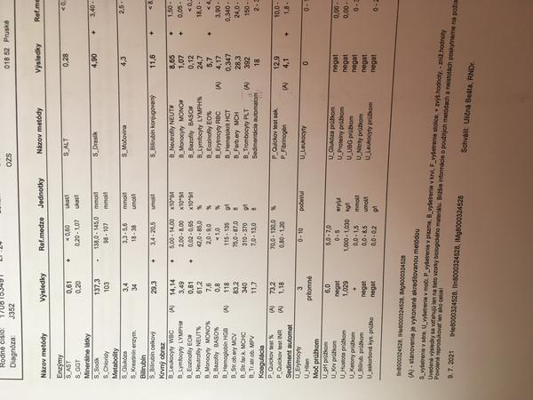 Zvýšený bilirubín z krvi štvorročného dieťaťa. Akú liečbu odporúčate?