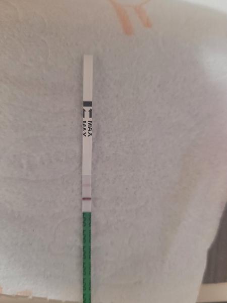 Je tehotenský test Pepino spoľahlivý 4 dni pred menštruáciou?