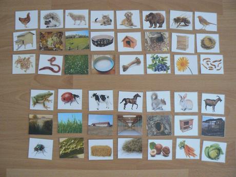 Priraďovačka zvieratko-domček-potrava, 