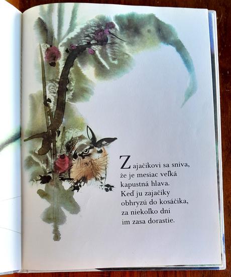 Čo si rozprávajú zvieratká v noci,