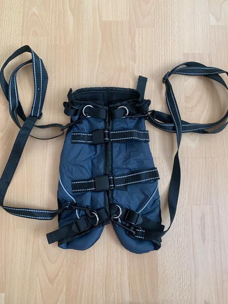 Rehabilitačný postroj, 