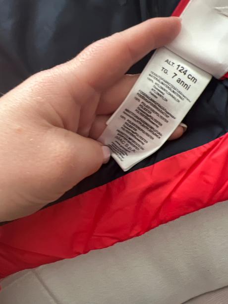 Vesta primigi, primigi,122