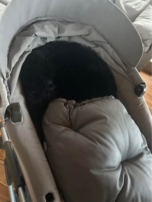 Kočík stokke crusi, stokke,stokke crusi