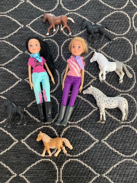 Sada koníkov, bábik jazdkýň a časopisov,