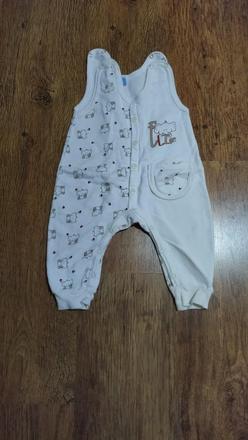 Dupačky sloník, 74