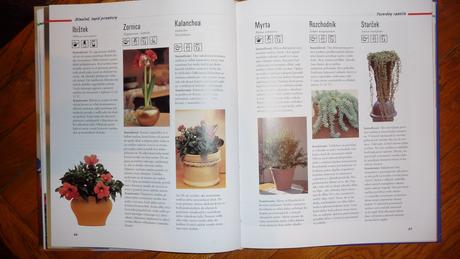 Nádhera kvetín/ dvesto izbových rastlín, 