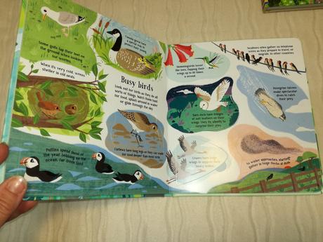 Usborne look inside the  jungle nsu19, 