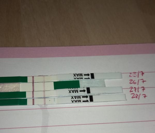 Je to na dobrej ceste? Vidíte dve čiarky?