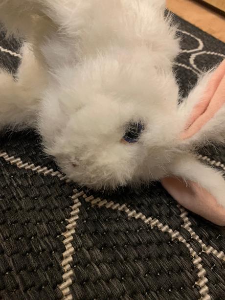 Sada plyšových domácich zvieratiek,