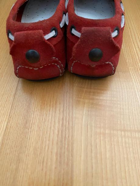 Mokasíny, salamander,37