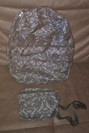 Čiernosivý batoh a ľadvinka, 