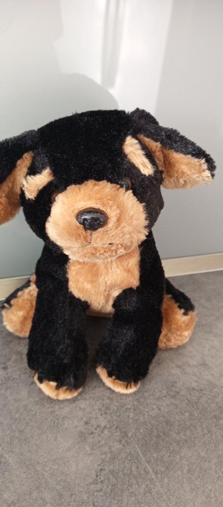 Plyšový psík,