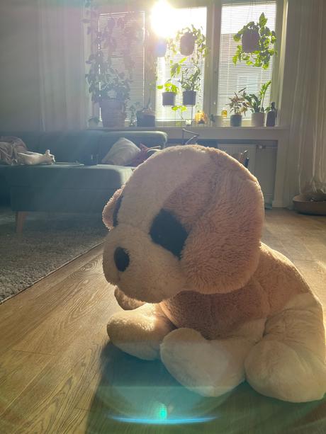 Veľky plyšový psík,