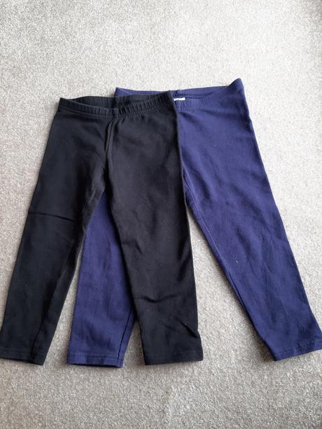 Teplejsie leginy, palomino,98