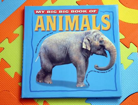My big book of animals - d1,