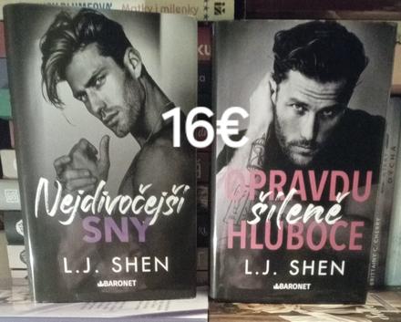 L. j. shen,