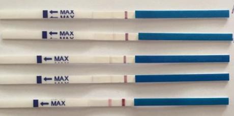 Ovulačné a tehotenské testy - 0,40/kus, 