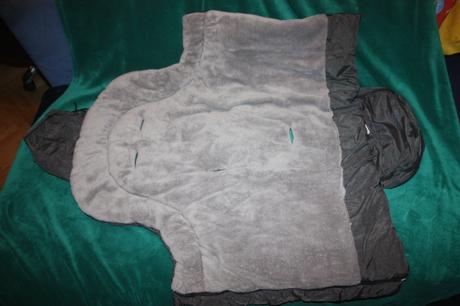 Fusak filikid, fillikid