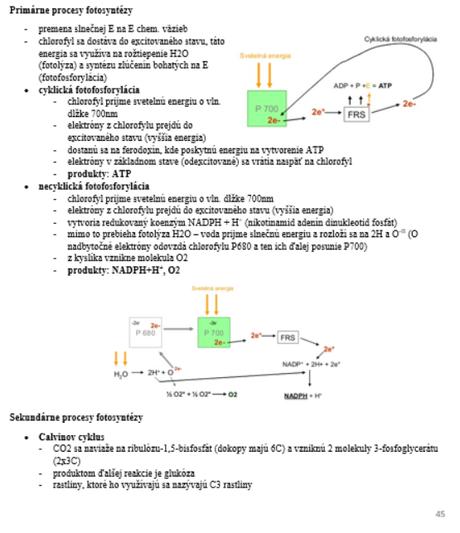 Poznámky na maturitu z biológie/prípravu na vš, 
