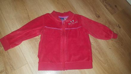 Zamatová mikinka 6-12 mes, lupilu,74