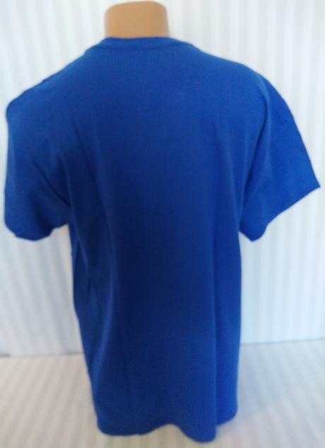 Pánske modré tričko skateboard, hanes, l, l