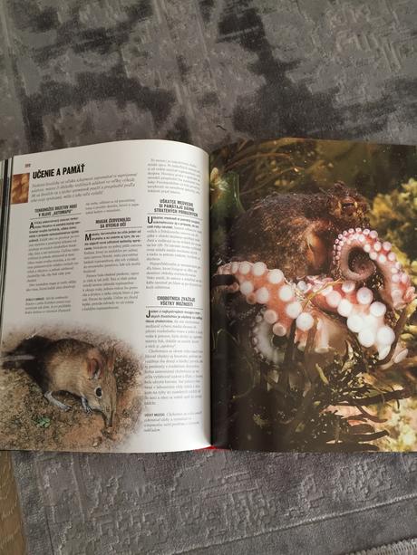 1000 divov prírody, 