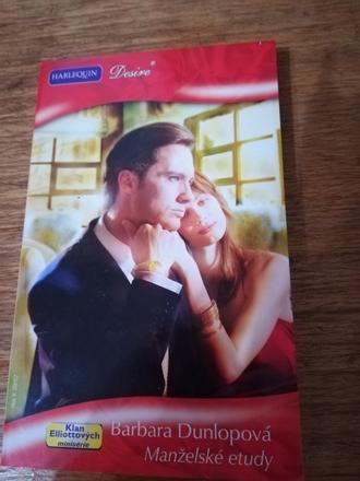 Desire manželské etudy 3/01,