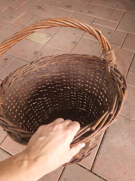 Krásny veľký prútený kos, 