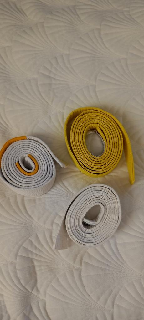 Opasky na judo, 
