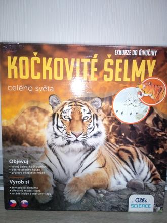Náučna hra,